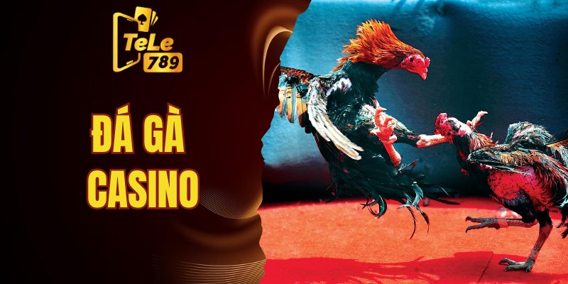 đá gà casino