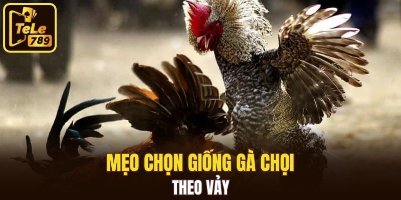 Hình vảy là một yếu tố nhận biết rõ ràng