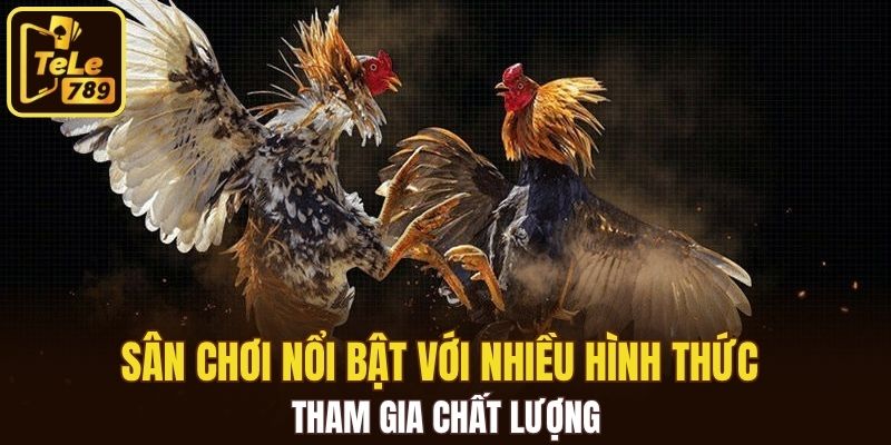 Sân chơi nổi bật với nhiều hình thức tham gia chất lượng