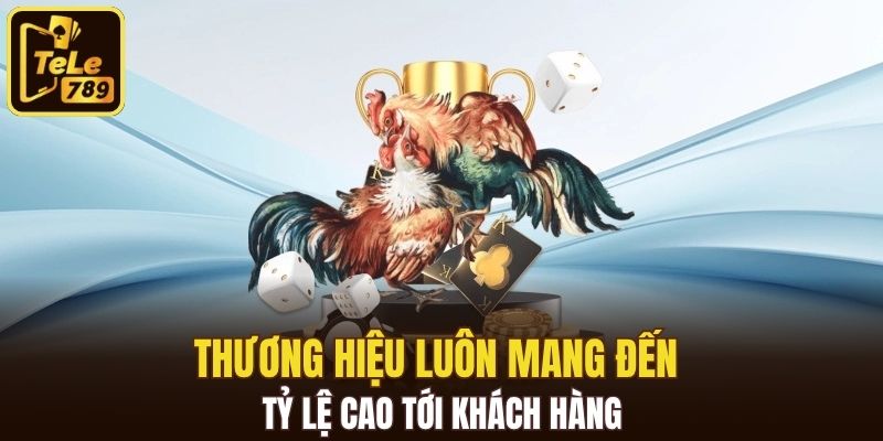 Thương hiệu luôn mang đến tỷ lệ cao tới khách hàng